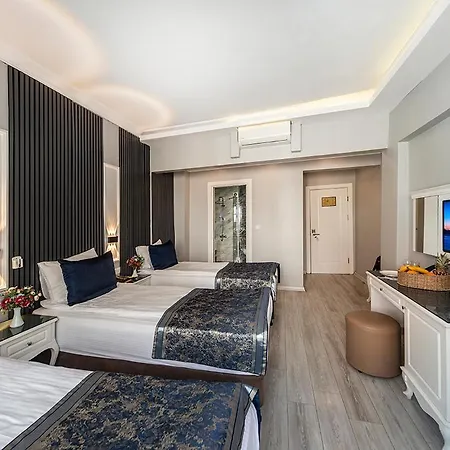 Hotell Beyazit Palace