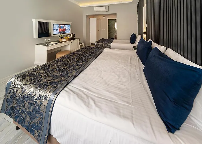 Hotell Beyazit Palace Istanbul